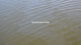 20160517_Oel2_Doerverden_Schleusenkanal_Hoefken37