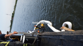 20160517_Oel2_Doerverden_Schleusenkanal_Hoefken48