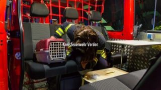 Zwei Katzen wurden aus dem verrauchten Gebäude gerettet und nach einer Erstversorgung in eine Tierklinik gebracht.