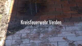 20170527_B3Riede01_busch