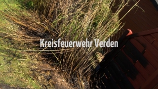 20170527_B3Riede02_busch