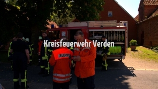 20170527_B3Riede04_busch