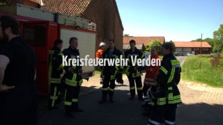 20170527_B3Riede05_busch