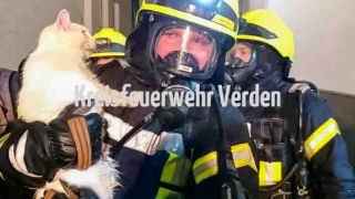 Feuerwehrleute retten eine Katze aus dem brennenden Gebäude.