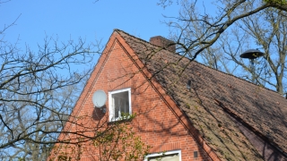 20190416_GebauedebrandFischerhude02_schnaars