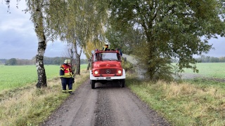 Bekämpfung eines Böschungsbrandes am Ortsrand von Jeddingen.