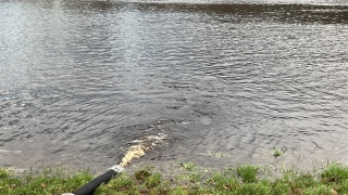 Pumparbeiten am Wümmedeich.