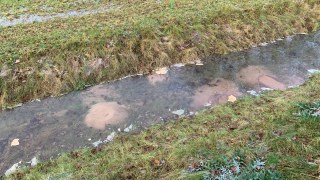 Qualmwasseraustritt.