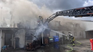 20250609_F3_Sagehorn_TSchone2