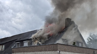 20250609_F3_Sagehorn_TSchone4