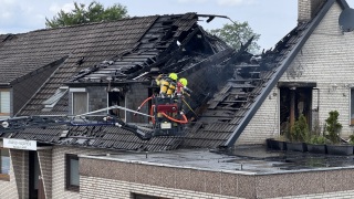 20250609_F3_Sagehorn_TSchone6