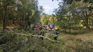 Zahlreiche umgestürzte Bäume sowie Wald- und Vegetationsbrände forderten die Einsatzkräfte neben den eigentlichen Übungslagen.