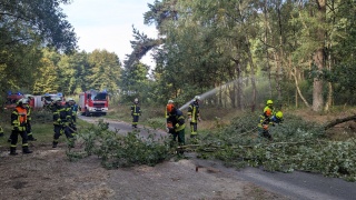 Zahlreiche umgestürzte Bäume sowie Wald- und Vegetationsbrände forderten die Einsatzkräfte neben den eigentlichen Übungslagen.