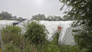 Fehmarn2025-Tag201